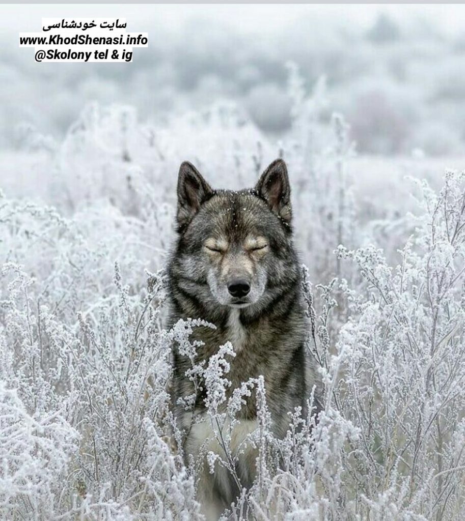 چگونه خشم خود را کنترل کنیم؟